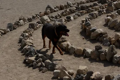 DSC_3010 (Large).JPG